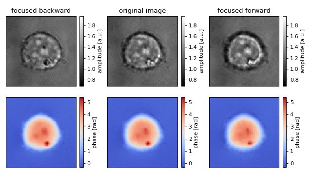 _images/refocus_cell.jpg